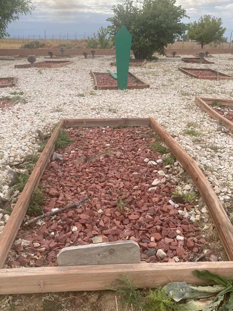 Dorothy Ann Robinson's grave. Photo 1