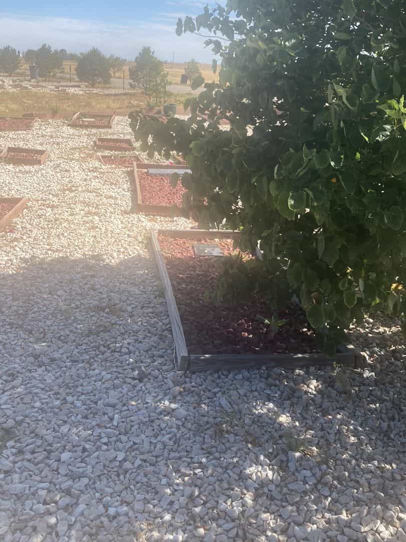 Khudoynazar Odinaev's grave. Photo 2