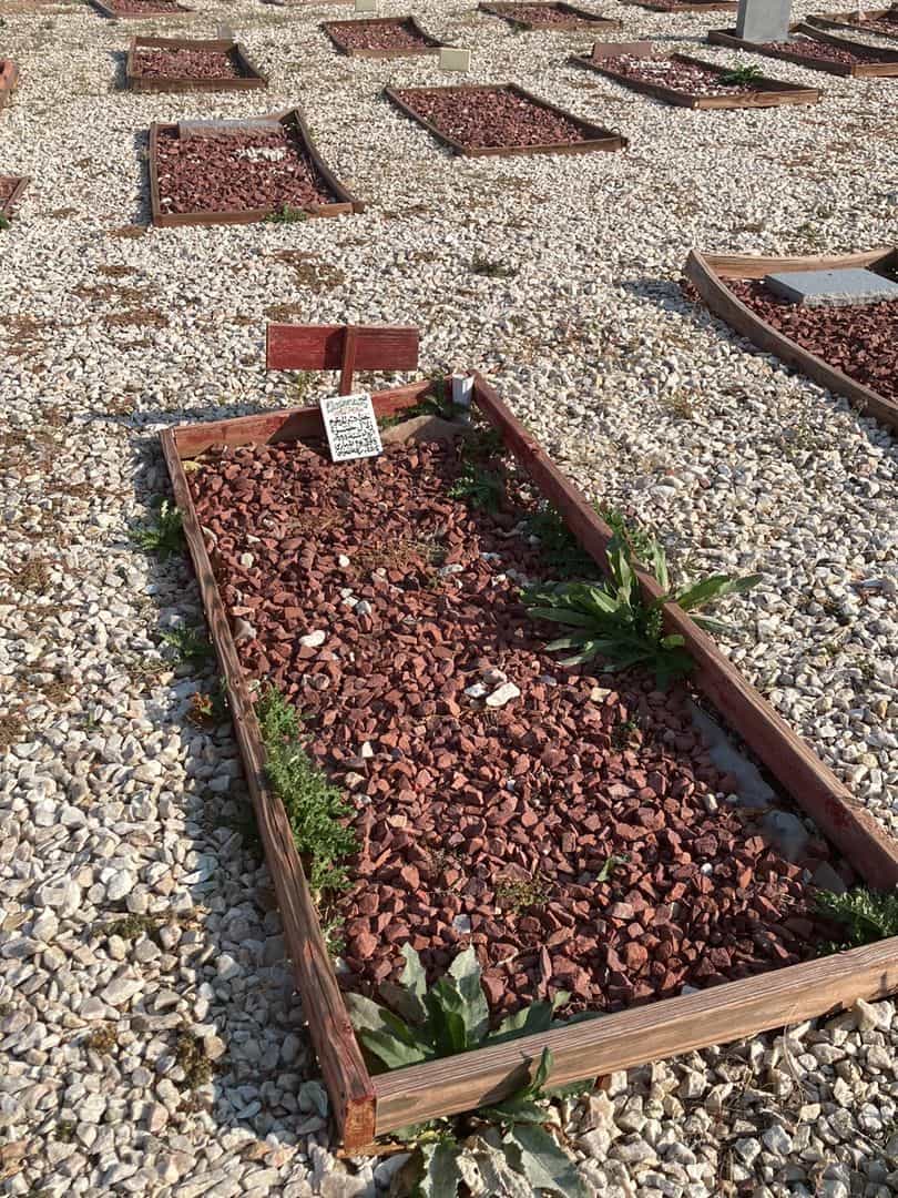 Hamza Zalal's grave. Photo 2