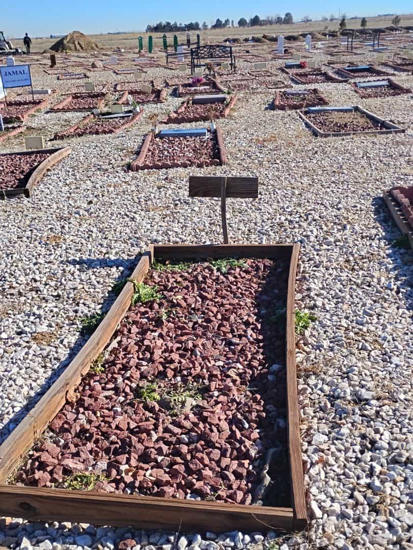 Tawheed Shabazz's grave. Photo 2