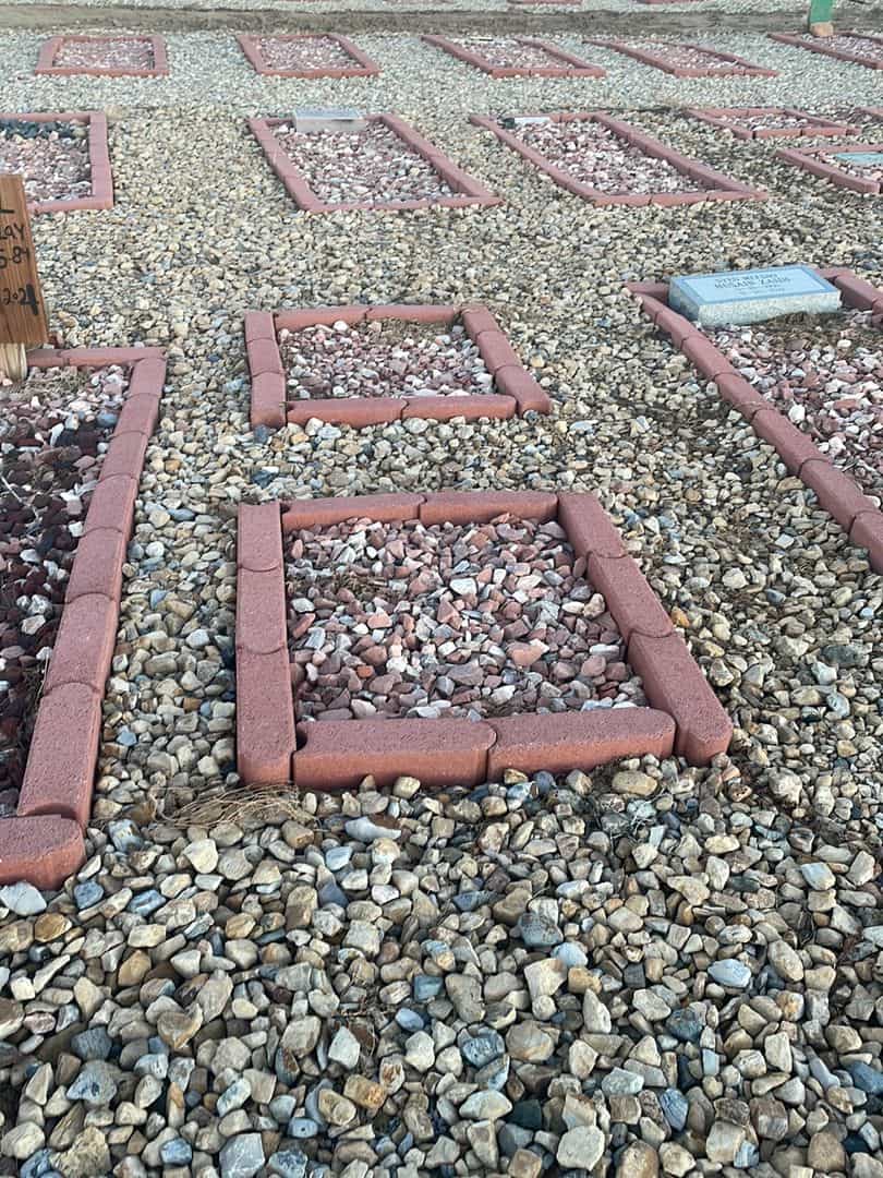 Baby Badran's grave. Photo 2