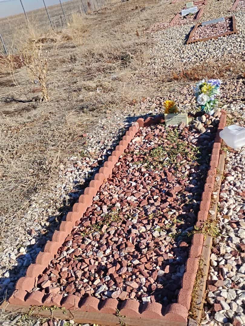 Ibrahim Yousef's grave. Photo 2