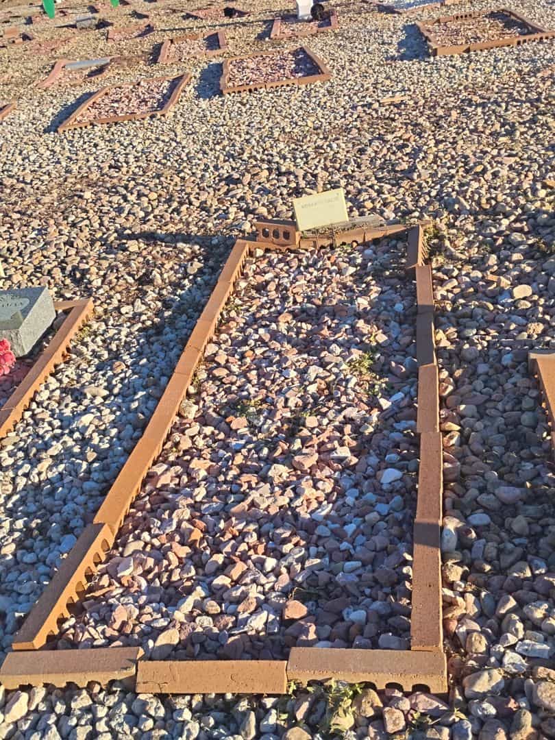 Mohamed Salim's grave. Photo 2