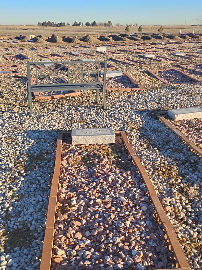 Zainab Abdul Kader Al-Homsi's grave. Photo 2