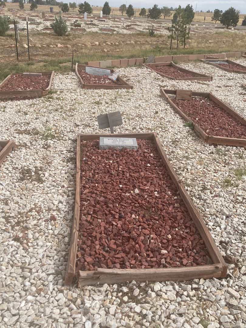 Maher Rushdi Zuraiqi's grave. Photo 2