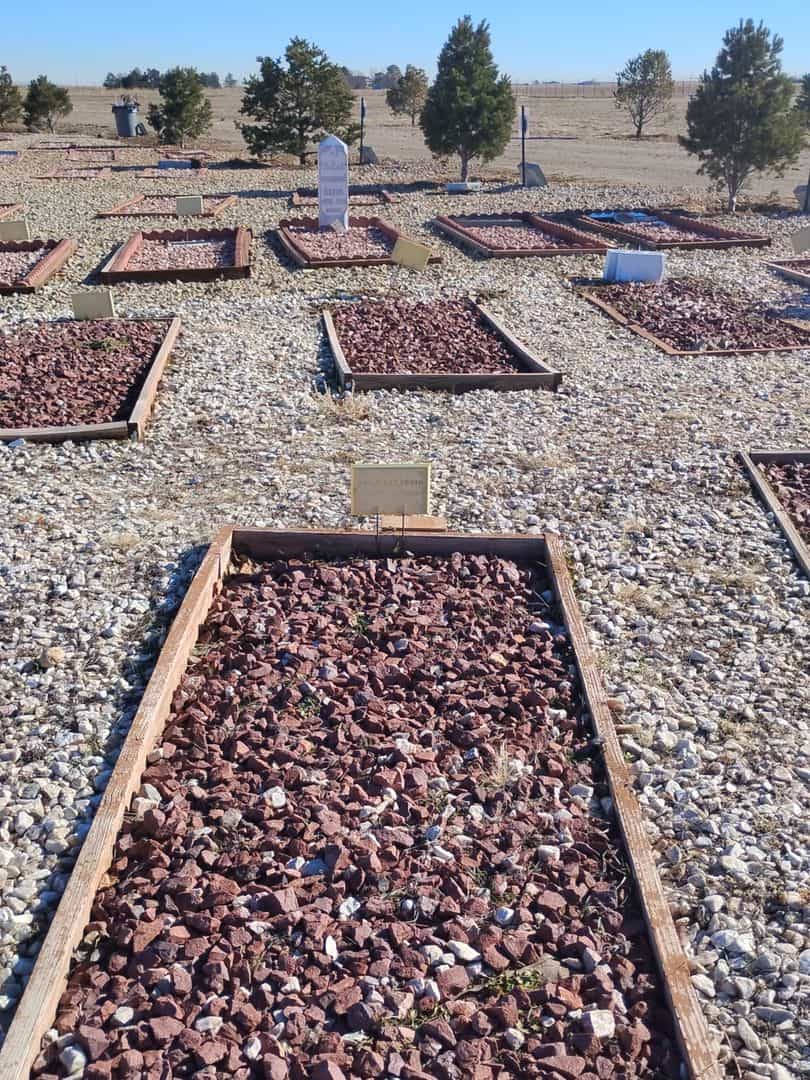 Abdallah Elkebir's grave. Photo 2