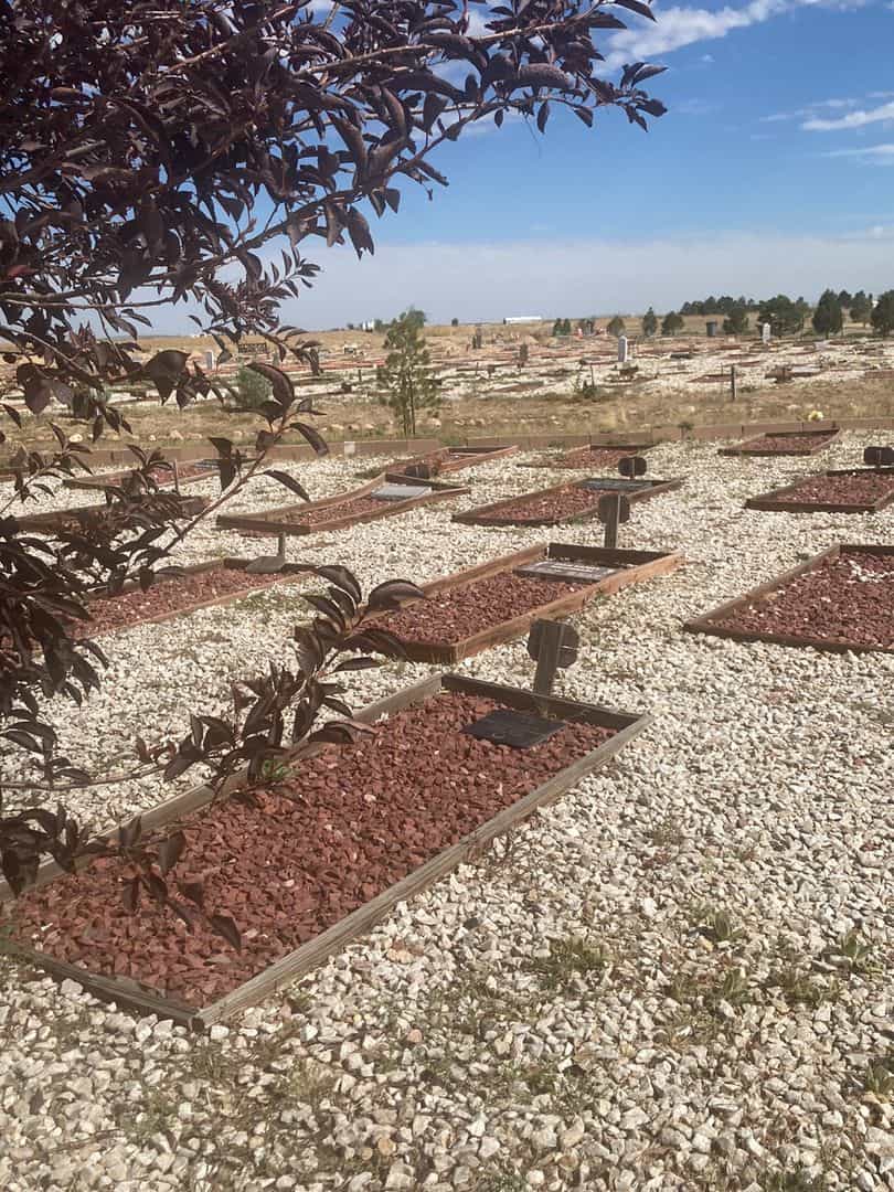 Timur Abdukayimov's grave. Photo 2