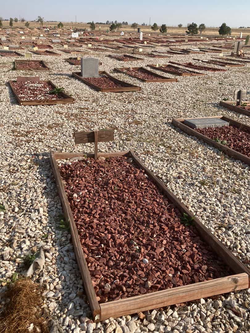 Bilal Abdui Karim's grave. Photo 2