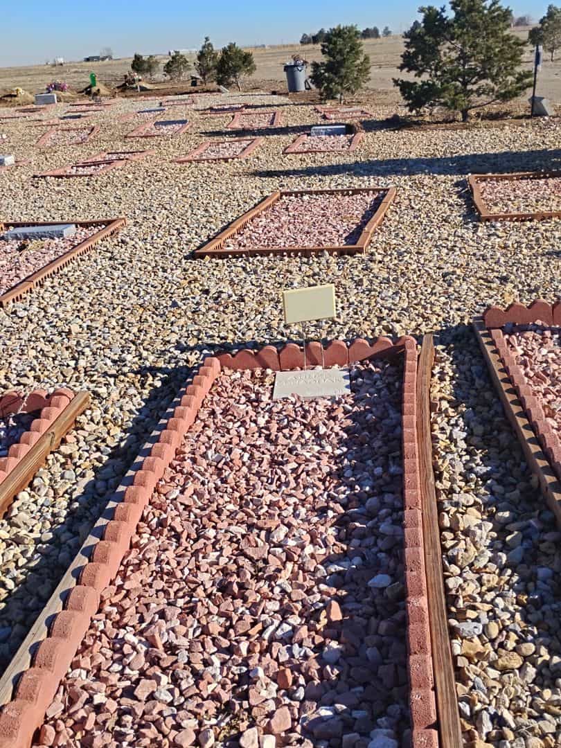 Ahmed Elhaouari's grave. Photo 2