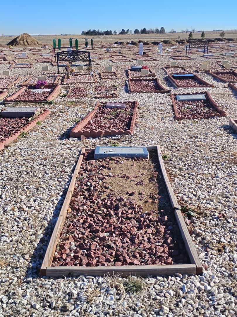 Doctor Reza Farbin's grave. Photo 2