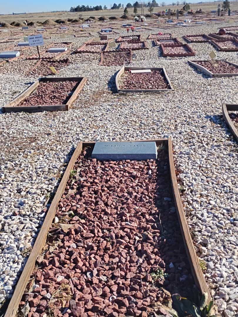 Washo Tayib's grave. Photo 2