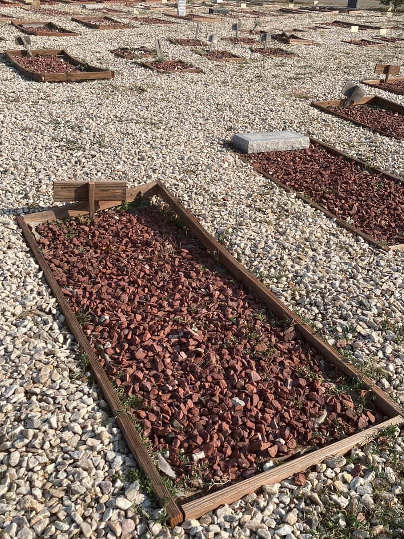 Hamouda Sherin Abdeltaffar's grave. Photo 2