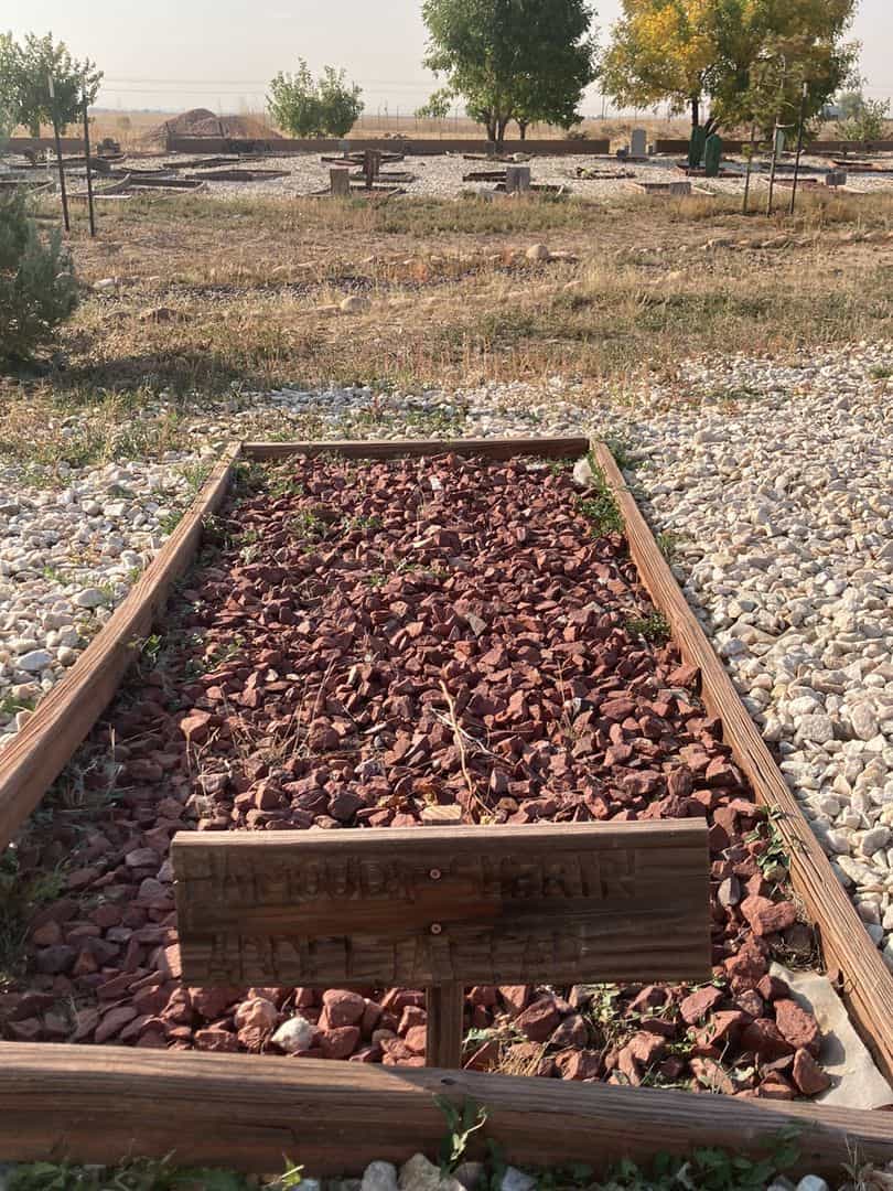 Hamouda Sherin Abdeltaffar's grave. Photo 1