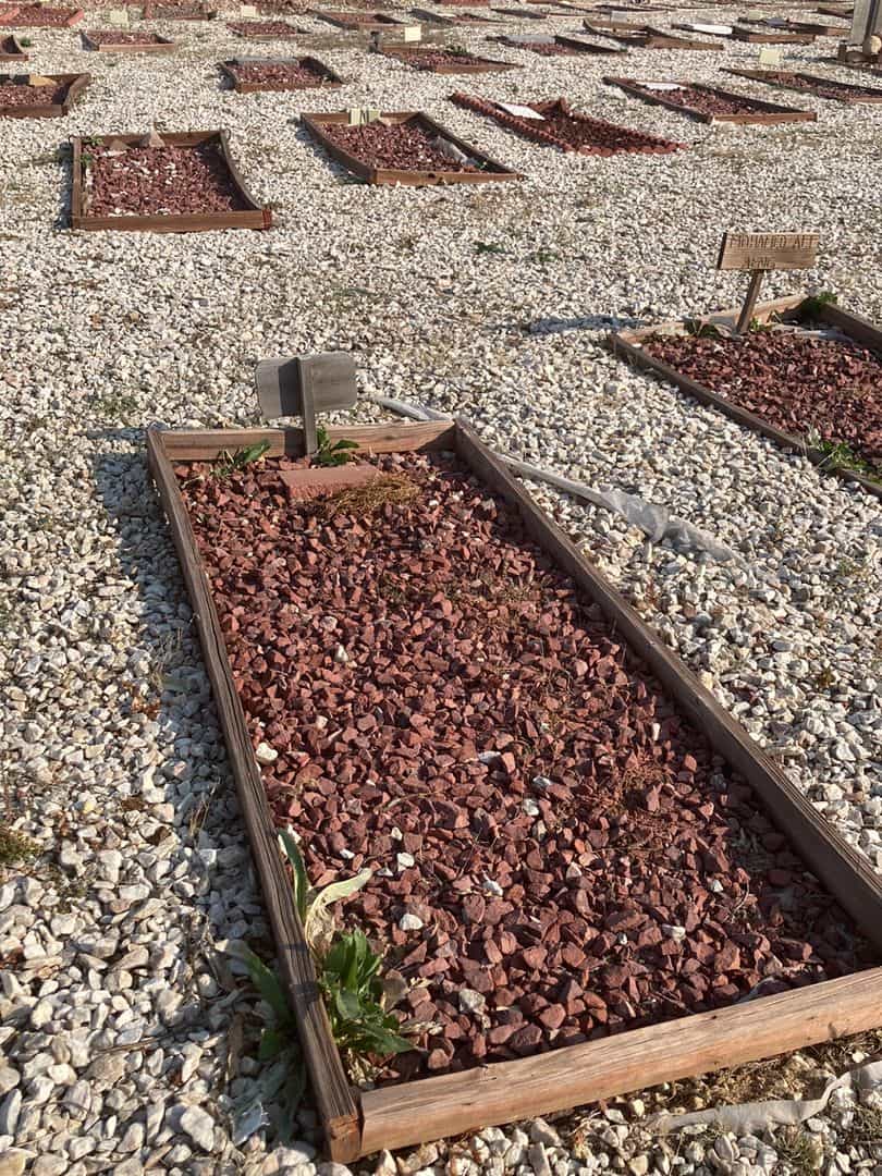 C. Deen's grave. Photo 2