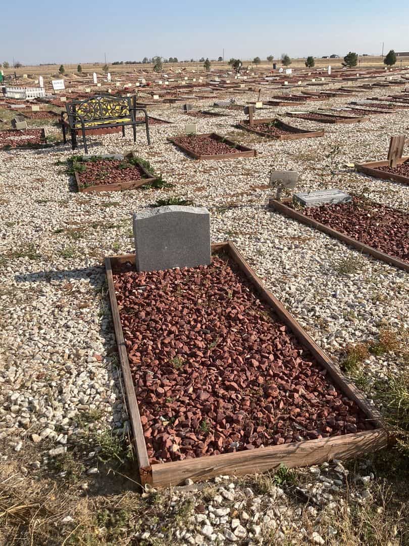 Deljan Latifa Housini's grave. Photo 2