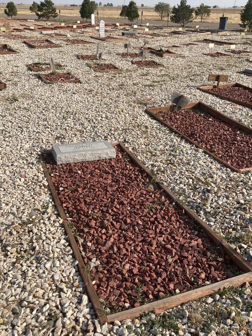 Ruqiya Xirsi Ahmed's grave. Photo 2