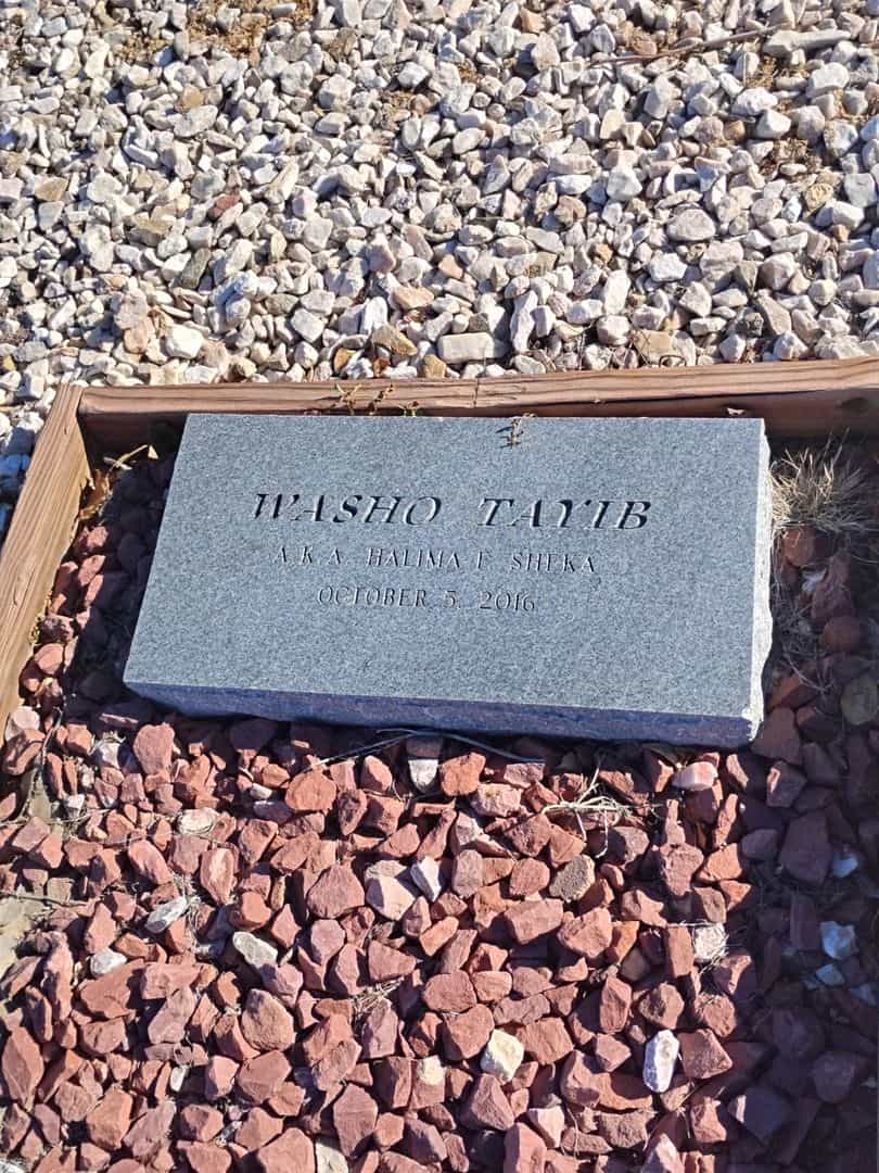 Washo Tayib's grave. Photo 1