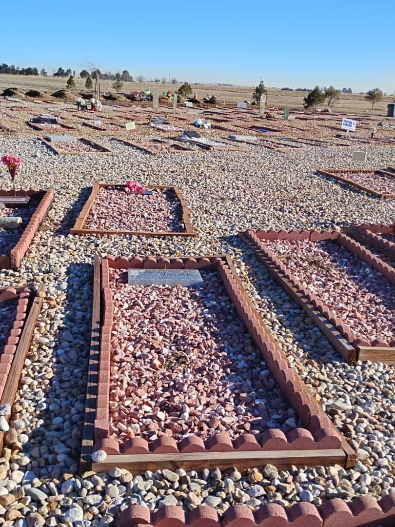 Mohammed Adel Abu Ali's grave. Photo 2