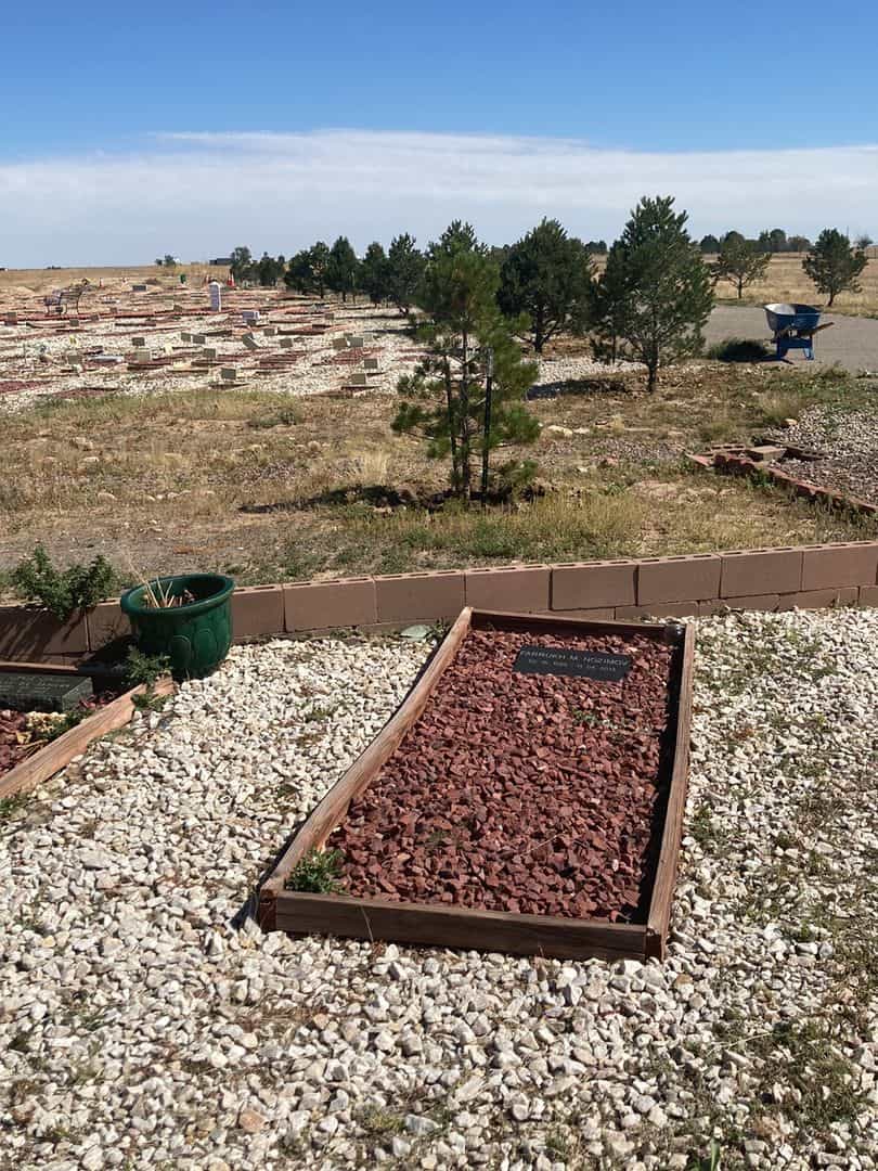 Farrukh M. Nozimov's grave. Photo 2