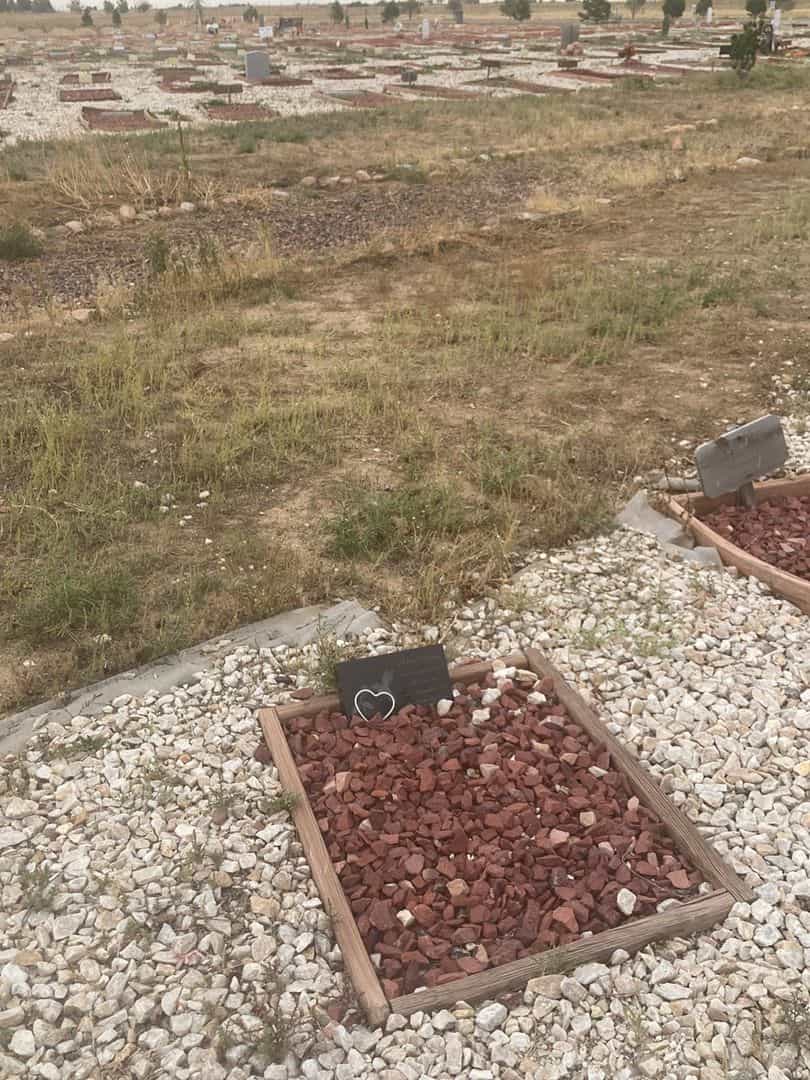 Adam Elenany's grave. Photo 2