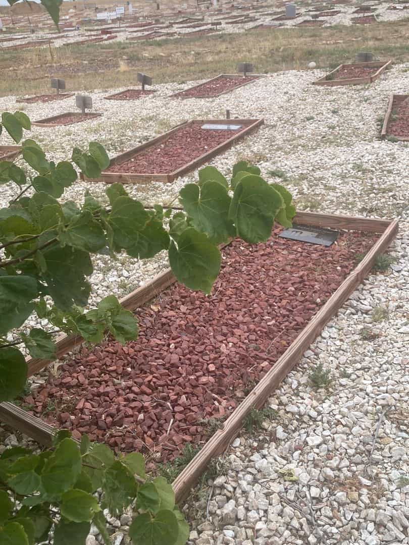 Burhan Edden Nyazi's grave. Photo 2