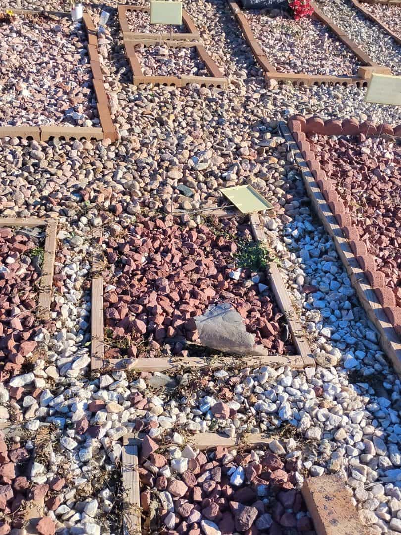 Asho Ibrahim Sadak Ahmed's grave. Photo 2