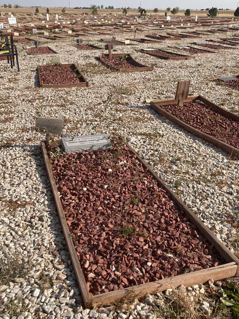 Dalal M. Tawfiq Batikha's grave. Photo 2