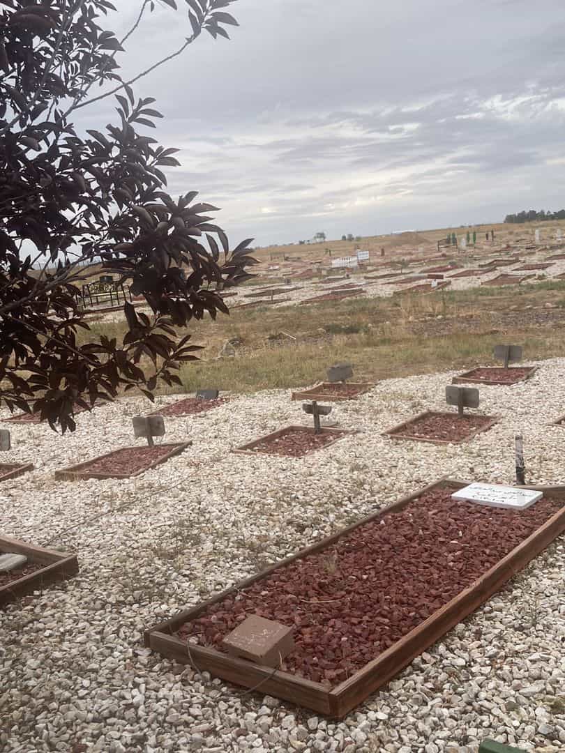 Abdelghani Abdelkhalek's grave. Photo 2