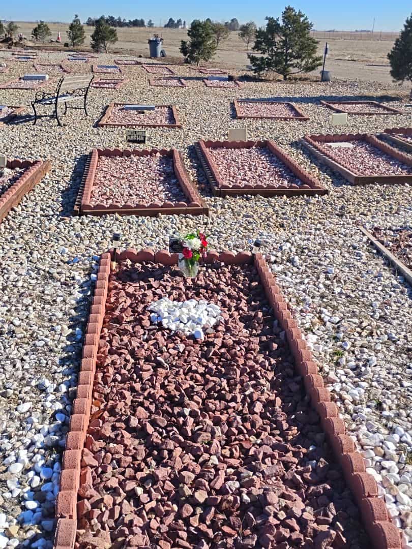 Taher Zlitni's grave. Photo 2