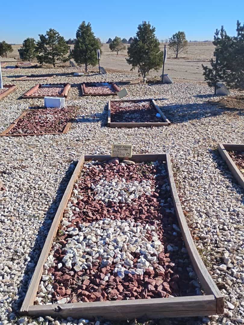 Ryan Adham Khamis's grave. Photo 2