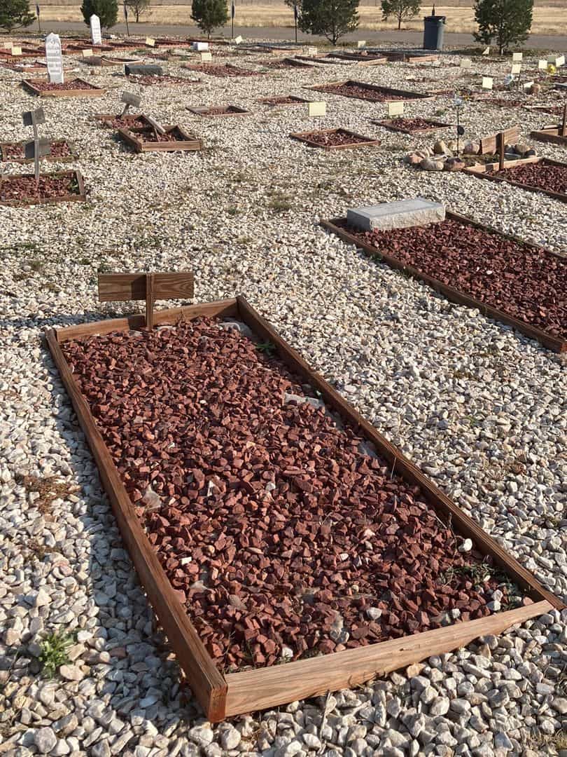 Rioharied Benhadou's grave. Photo 2