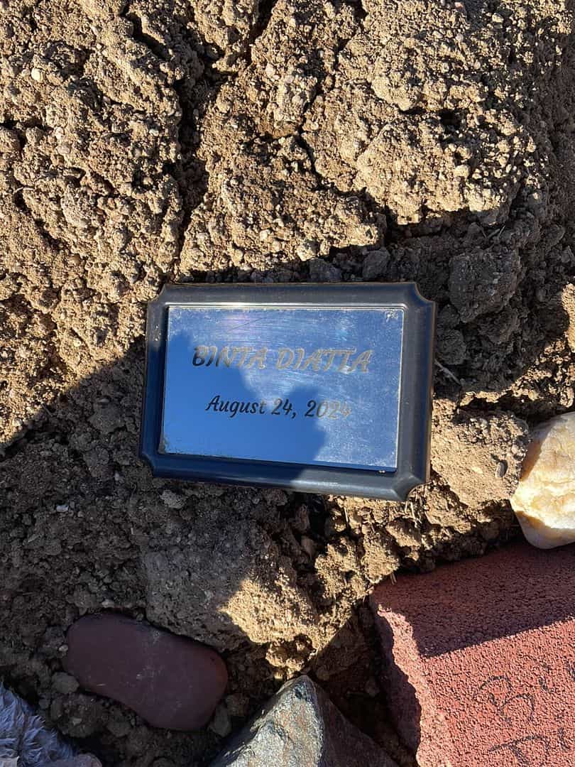 Binta Diatta's grave. Photo 1