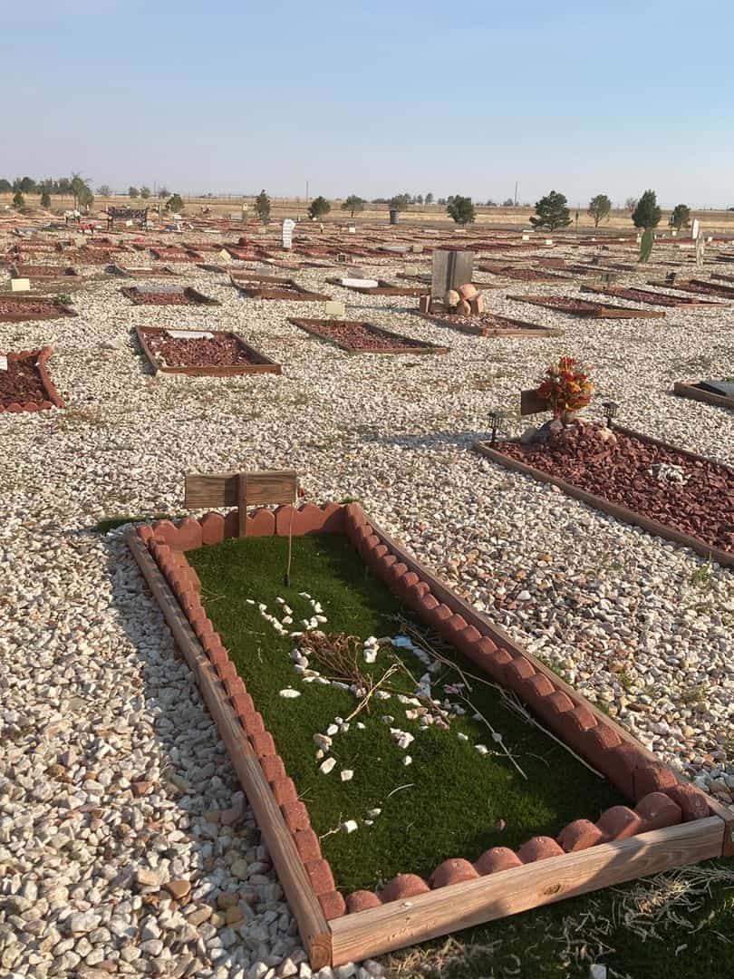 Aida Mahmoud Sawalha's grave. Photo 2