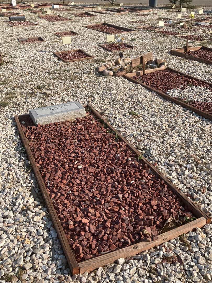 Shamis Mohamed Diriye's grave. Photo 2