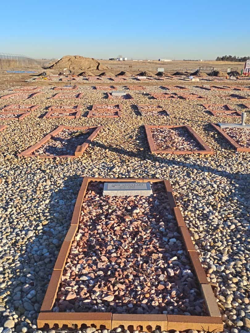 Abdi Abdullahi's grave. Photo 2
