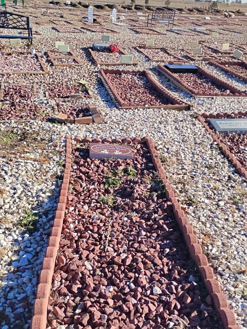 Patricia Ann Harris's grave. Photo 2