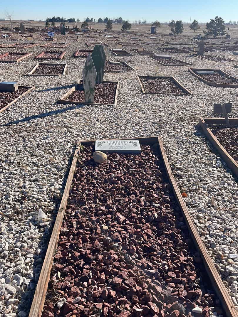 Harouna Fofana's grave. Photo 2