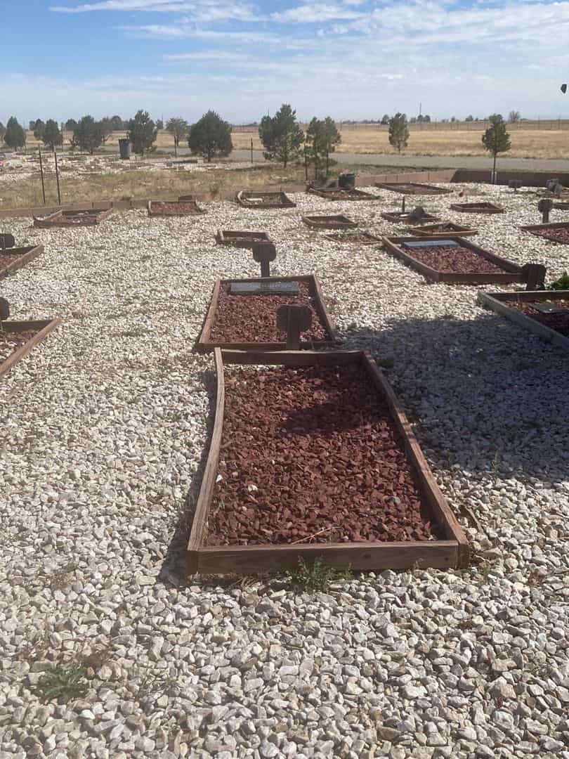 Abdul-Zahir Balyina's grave. Photo 2