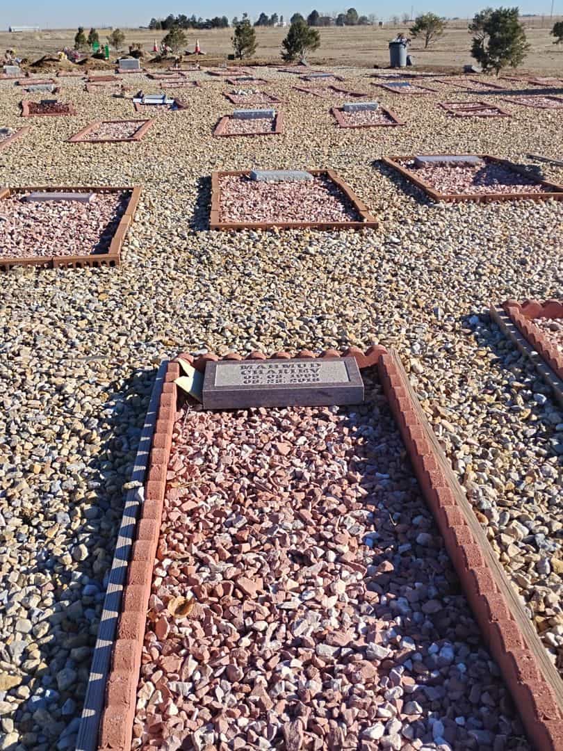 Mahmud Chariev's grave. Photo 2
