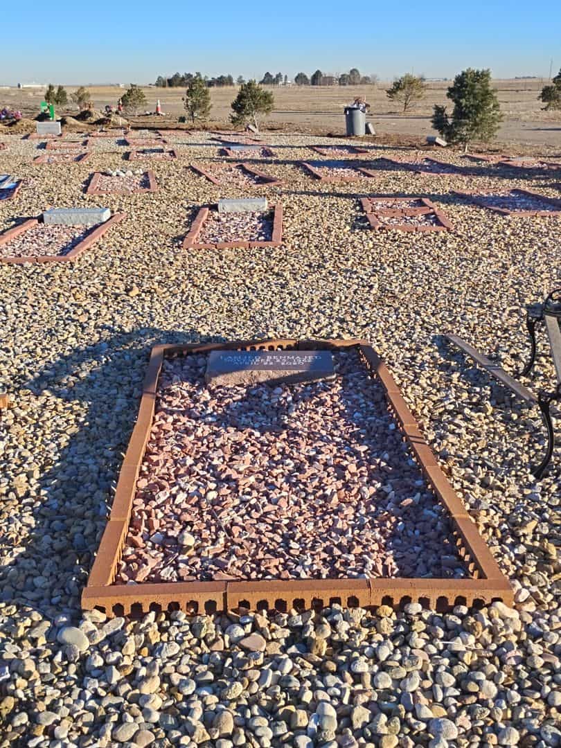 Lamjed Benmajed's grave. Photo 2