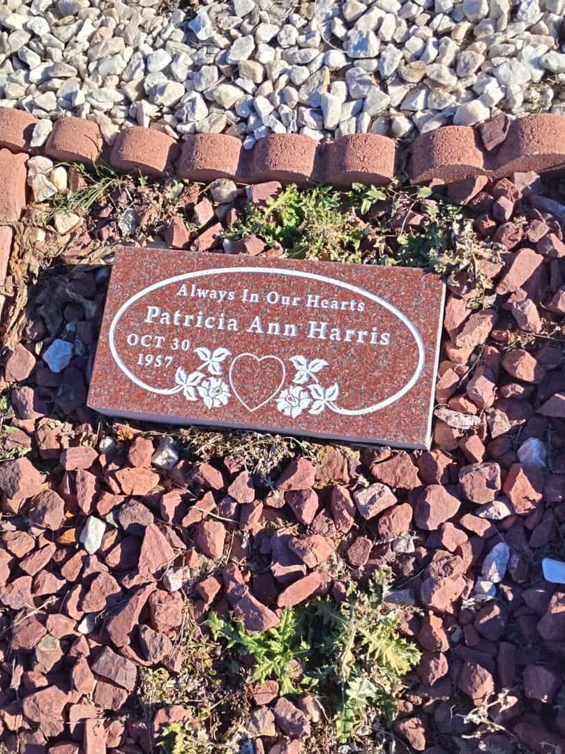 Patricia Ann Harris's grave. Photo 1