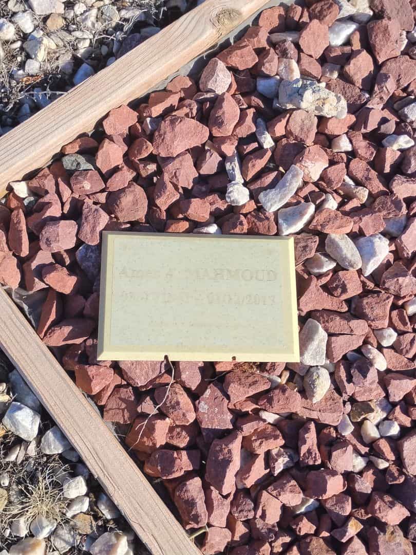 Amer A. Mahmoud's grave. Photo 1