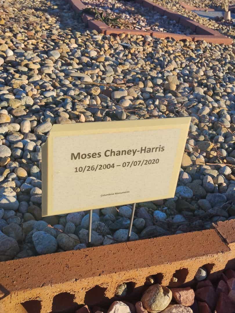 Moses Chaney-Harris's grave. Photo 1