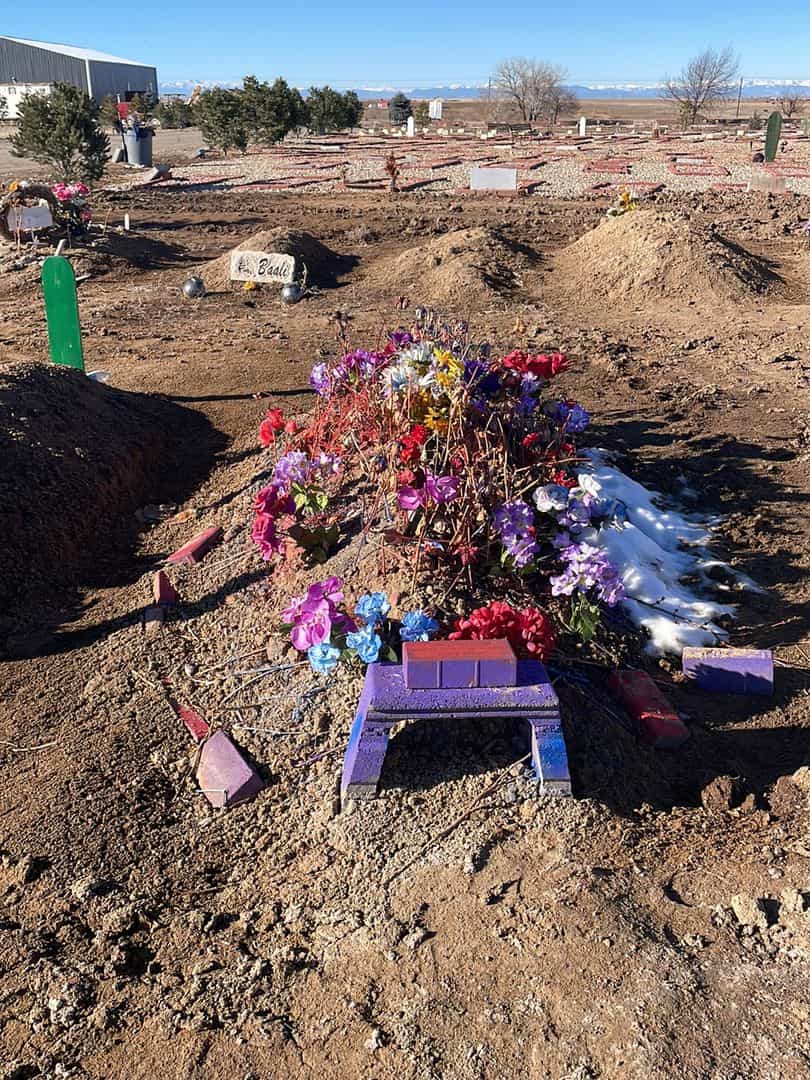 Farzana Gul Sadaqat's grave. Photo 2