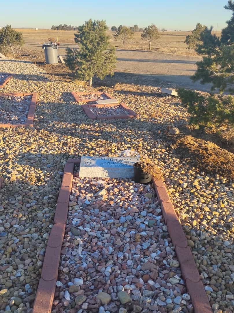 Mohamed Iles's grave. Photo 2