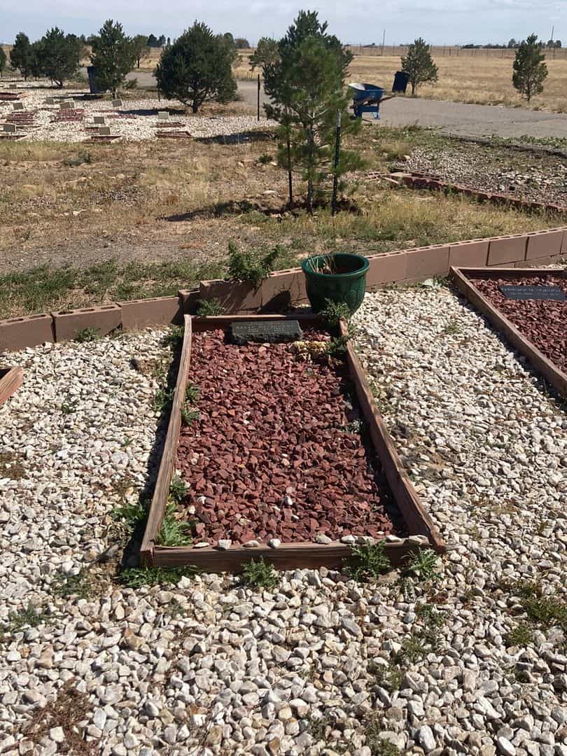 Sally El-Janaby's grave. Photo 2