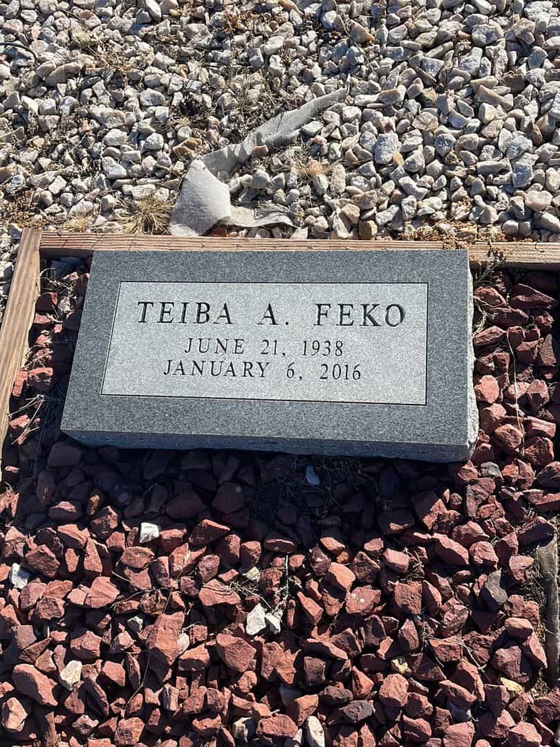 Teiba A. Feko's grave. Photo 1