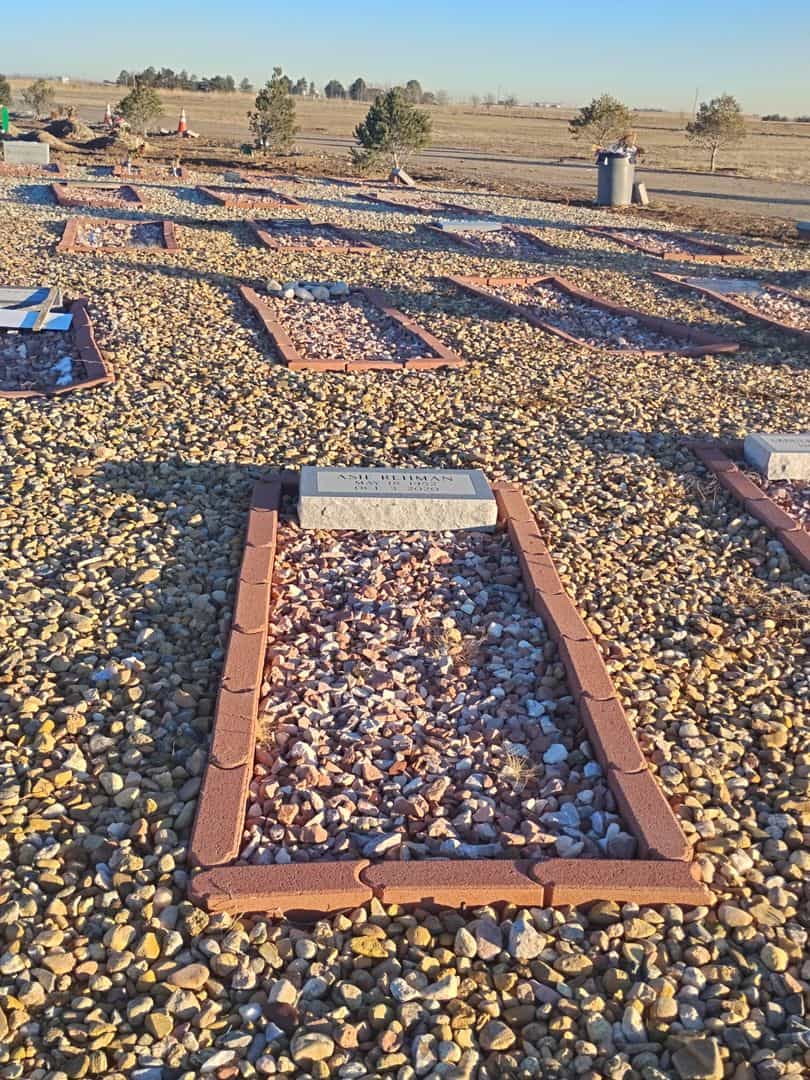 Asif Rehman's grave. Photo 2