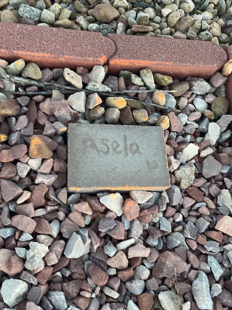 Asela Bassam Zaben's grave. Photo 1